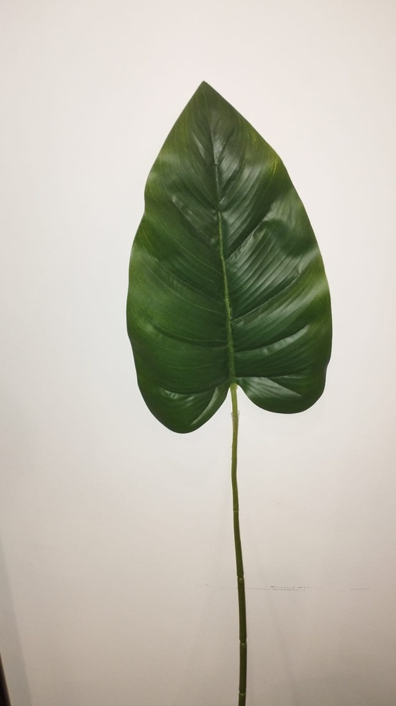 HOJA COSTILLA ADAN 85CM