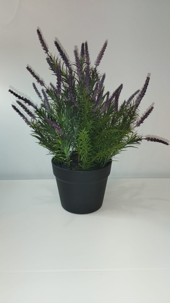 MACETA LAVANDA 45CM