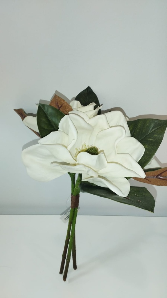 MAGNOLIASX3 36CM CREMA