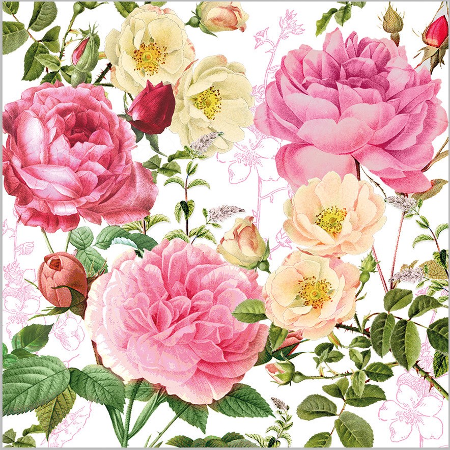 SERVILLETAS 25*25 ROSALIE