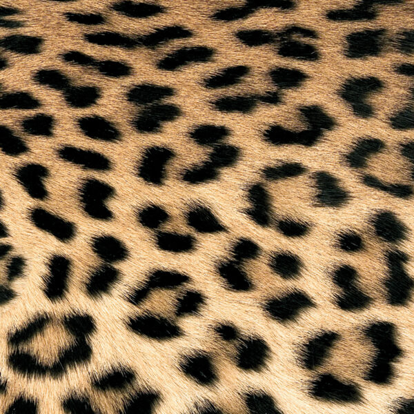 SERVILLETA LEOPARD COUTURE 33X33