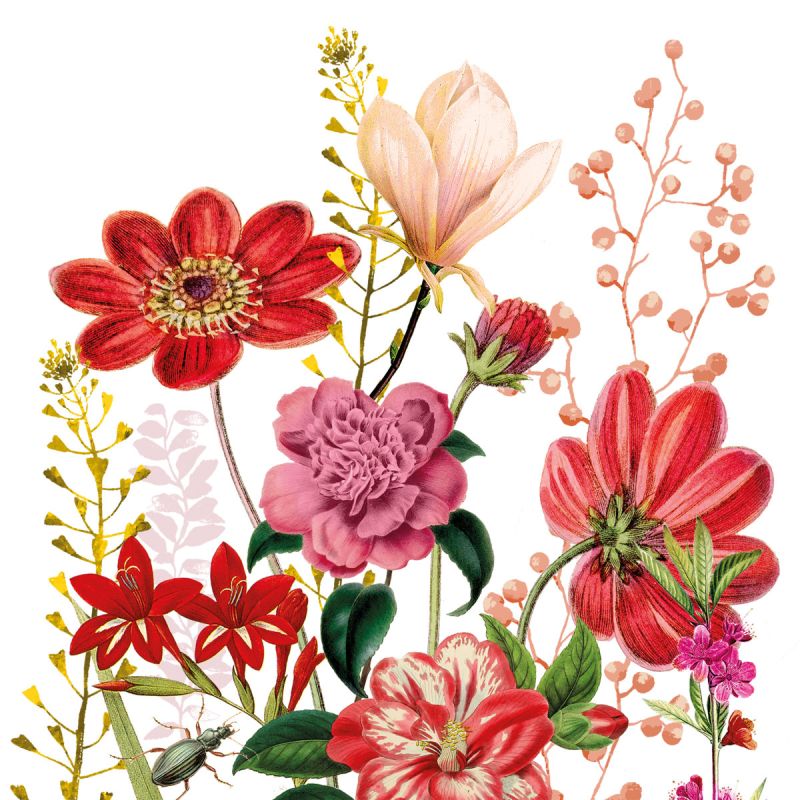 SERVILLETAS FLORIA 33X33