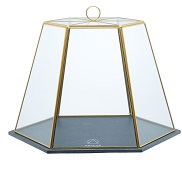 [395.ARTTERRARIUM] CAMPANA EXPOSITOR CRISTAL