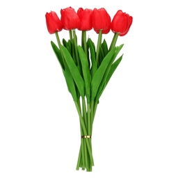 [46.H204400222] BOUQUETX9 FLORA TULIPAN ROJO