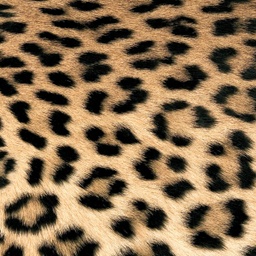 [6530] SERVILLETA LEOPARD COUTURE 33X33