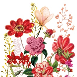 [133002605] SERVILLETAS FLORIA 33X33